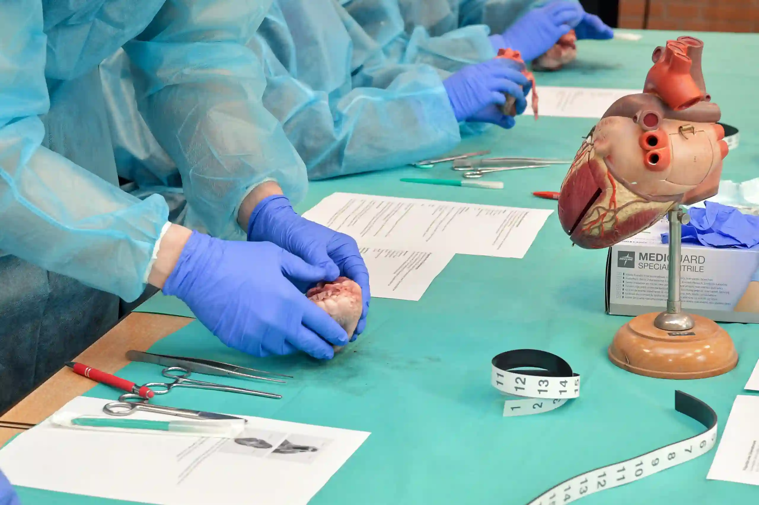Operationstechnische Assistenz Ausbildung